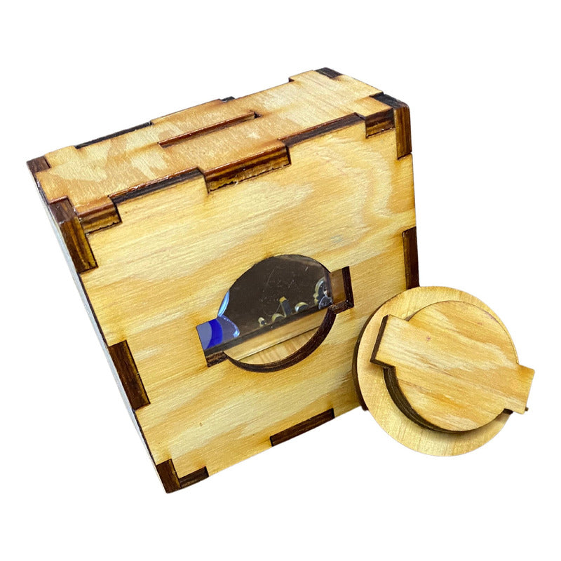 Alcancia Para Recuerdo De Graduación Graduación Natural